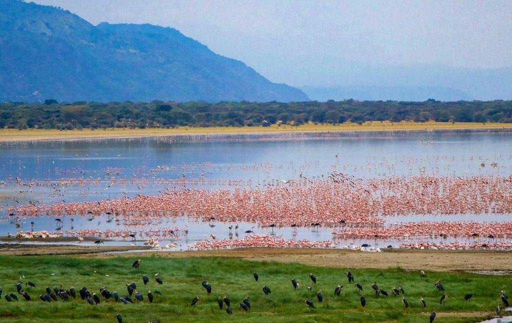 lake-manyara-1-1110x700