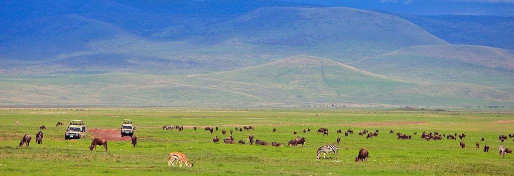 ngorongoro-masai